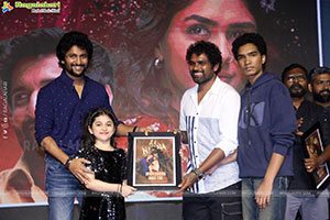 Hi Nanna Movie Blockbuster Celebrations Event