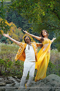 Mr Bachchan Movie Gallery, HD Stills