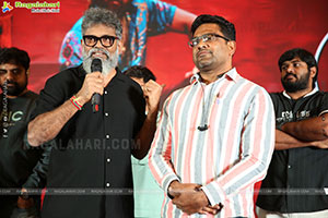 Pushpa 2 Wildfire Blockbuster Success Meet