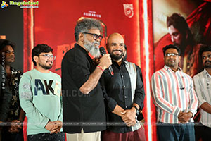 Pushpa 2 Wildfire Blockbuster Success Meet