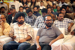 Pushpa 2 Wildfire Blockbuster Success Meet