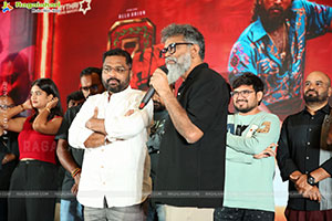 Pushpa 2 Wildfire Blockbuster Success Meet