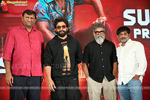 Pushpa 2 Wildfire Blockbuster Success Meet