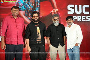 Pushpa 2 Wildfire Blockbuster Success Meet