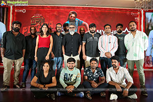 Pushpa 2 Wildfire Blockbuster Success Meet