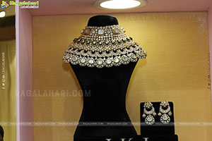 Grand Launch of Hi Life Jewels Exhibition at HICC-Novotel