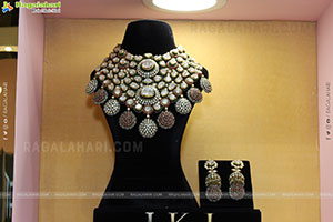 Grand Launch of Hi Life Jewels Exhibition at HICC-Novotel