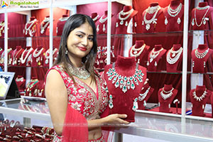 Grand Launch of Hi Life Jewels Exhibition at HICC-Novotel