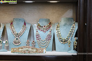 Grand Launch of Hi Life Jewels Exhibition at HICC-Novotel