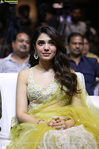 Annagaru Vostaru Movie Pre Release Event 