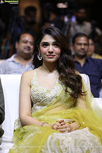 Annagaru Vostaru Movie Pre Release Event 