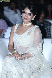 The Rajasaab Movie Pre Release Event 