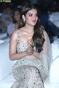 The Rajasaab Movie Pre Release Event 