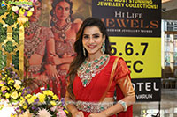 Hi Life Jewels Grand Launch Event at Novotel, Vijayawada
