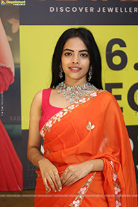 Hi Life Jewels Grand Launch Event at Novotel, Vijayawada