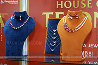 Hi Life Jewels Grand Launch Event at Novotel, Vijayawada