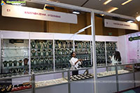 Hi Life Jewels Grand Launch Event at Novotel, Vijayawada