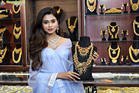 Hi Life Jewels Grand Launch Event at Novotel, Vijayawada