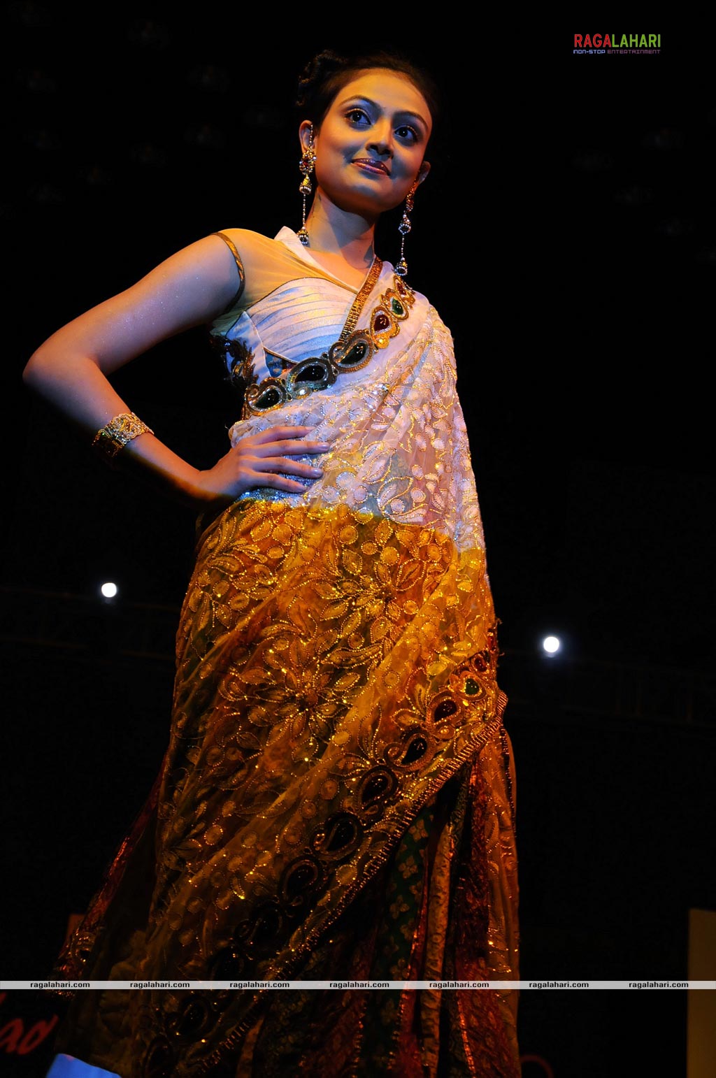 Hyderabad Designer Week 2010 Fashion Show