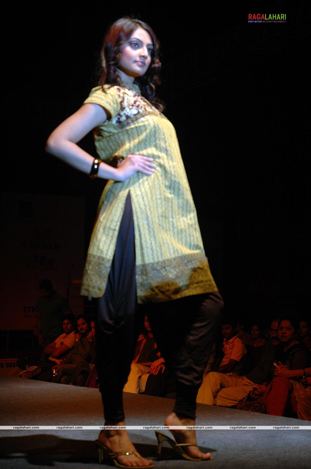 Hyderabad Designer Week 2010 Day 2 Fashion Show