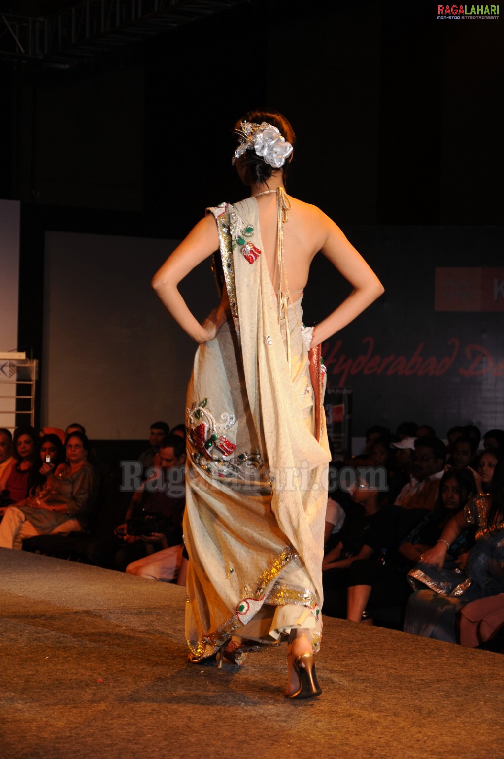 Hyderabad Designer Week 2010 Day 3 Set 2