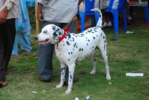 Visakhapatnam - Pet Show 2010, Tenneti Park