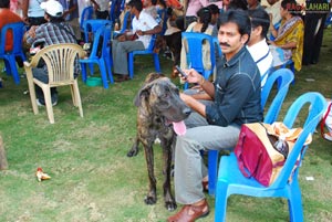 Visakhapatnam - Pet Show 2010, Tenneti Park