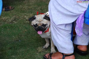 Visakhapatnam - Pet Show 2010, Tenneti Park