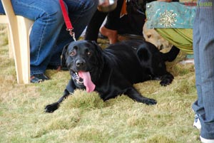 Visakhapatnam - Pet Show 2010, Tenneti Park