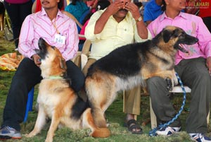 Visakhapatnam - Pet Show 2010, Tenneti Park