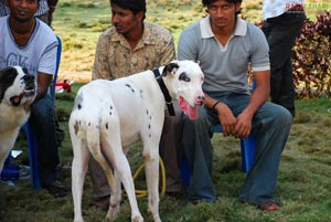 Visakhapatnam - Pet Show 2010, Tenneti Park