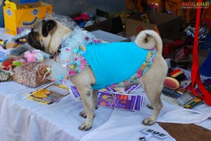 Visakhapatnam - Pet Show 2010, Tenneti Park