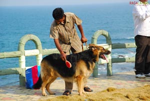 Visakhapatnam - Pet Show 2010, Tenneti Park