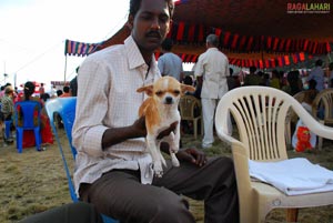 Visakhapatnam - Pet Show 2010, Tenneti Park