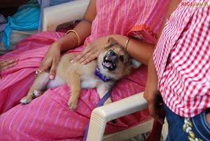 Visakhapatnam - Pet Show 2010, Tenneti Park