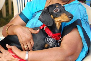 Visakhapatnam - Pet Show 2010, Tenneti Park