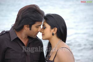 Tarun, Vimala Raman