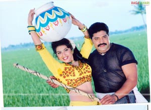 Srihari, Meena