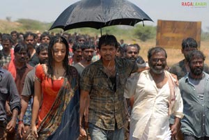 Vijay, Trisha, Malavika