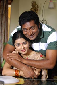 Prakash Raj, Bhumika