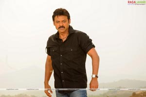 Venkatesh, Trisha