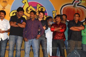 Aha Na Pellanta Press Meet