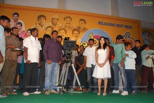 Aha Na Pellanta Press Meet