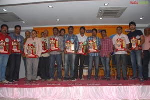 Ahana Pellanta Audio Success Meet