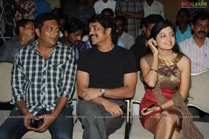 Gaganam Success Meet