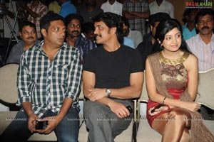 Gaganam Success Meet