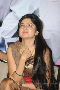 Gaganam Success Meet