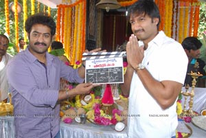 Gopichand-Krishna Vamsi Film Muhurat