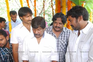 Gopichand-Krishna Vamsi Film Muhurat