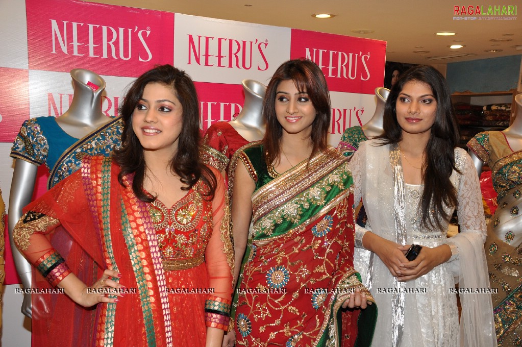 Neeru's Collection 2011